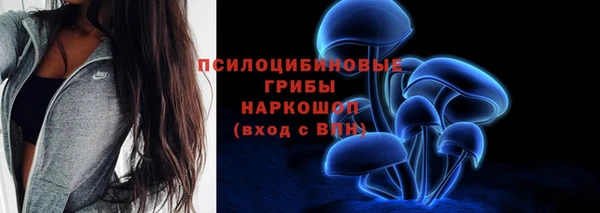 PSILOCYBIN Белокуриха