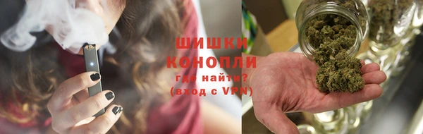PSILOCYBIN Белокуриха