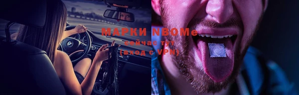 стафф Струнино