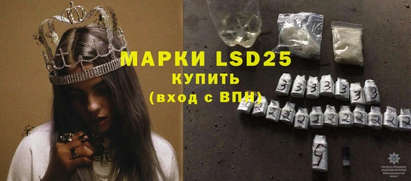 стафф Струнино