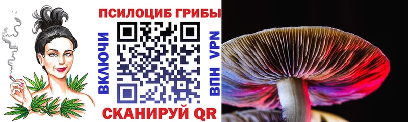 Псилоцибиновые грибы MAGIC MUSHROOMS  Кяхта 
